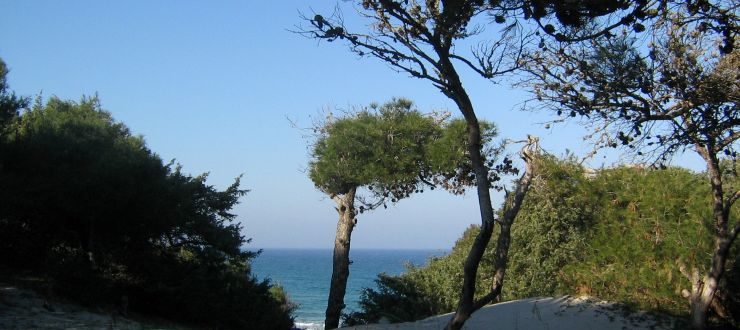 vacanza a Torre dell'Orso guida pratica